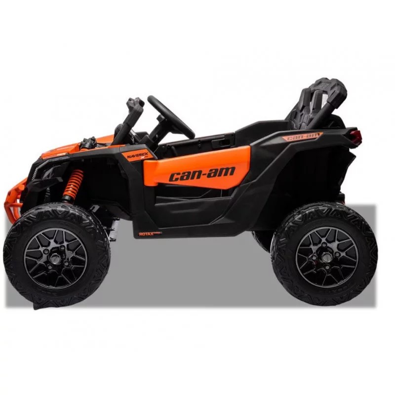 BUGGY-~2