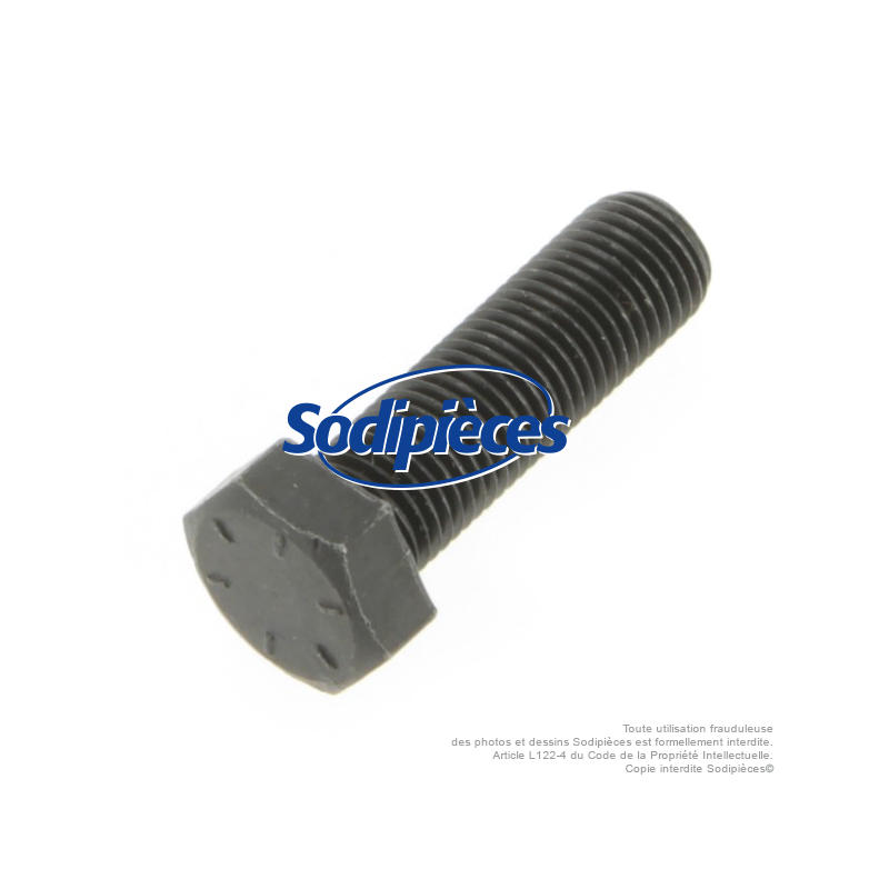 VIS DE LAME Ø 9,5 MM. LONGUEUR 32 MM. POUR AYP, NOMA, STIGA.
