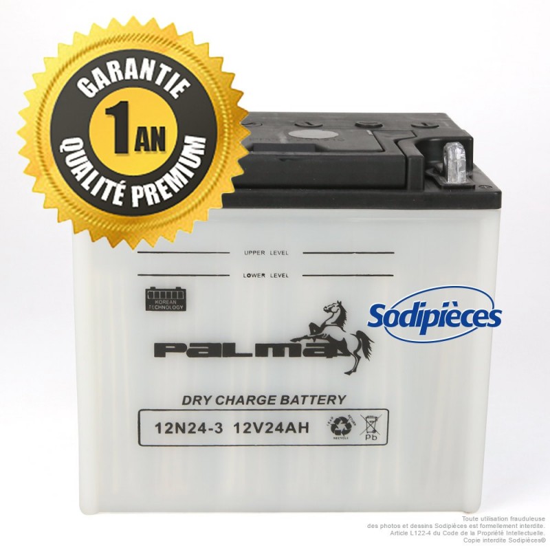 batterie-seche-premium-palma-12n24-3 (1)