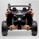 BUGGY-~1