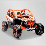 BUGGY-~1