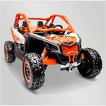 BUGGY-~2