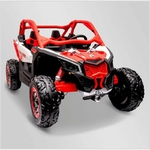 BUGGY-~2