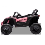 BUGGY-~2
