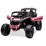 BUGGY-~3
