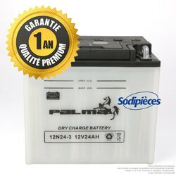 batterie-seche-premium-palma-12n24-3 (1)