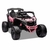BUGGY-~4