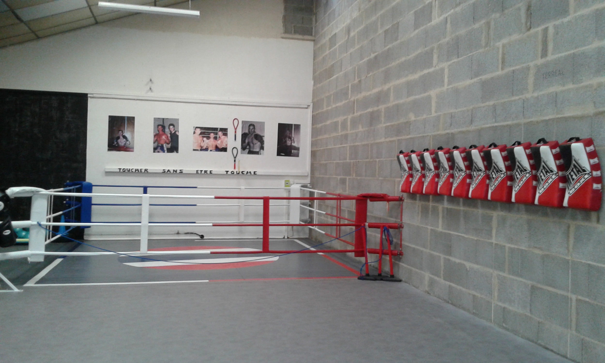 ring_de_boxe_mural