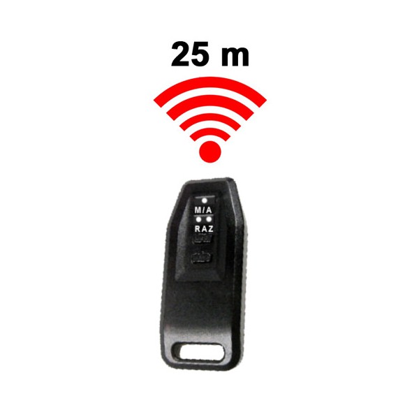 telecomande_sans_fil_pendule_de_boxe