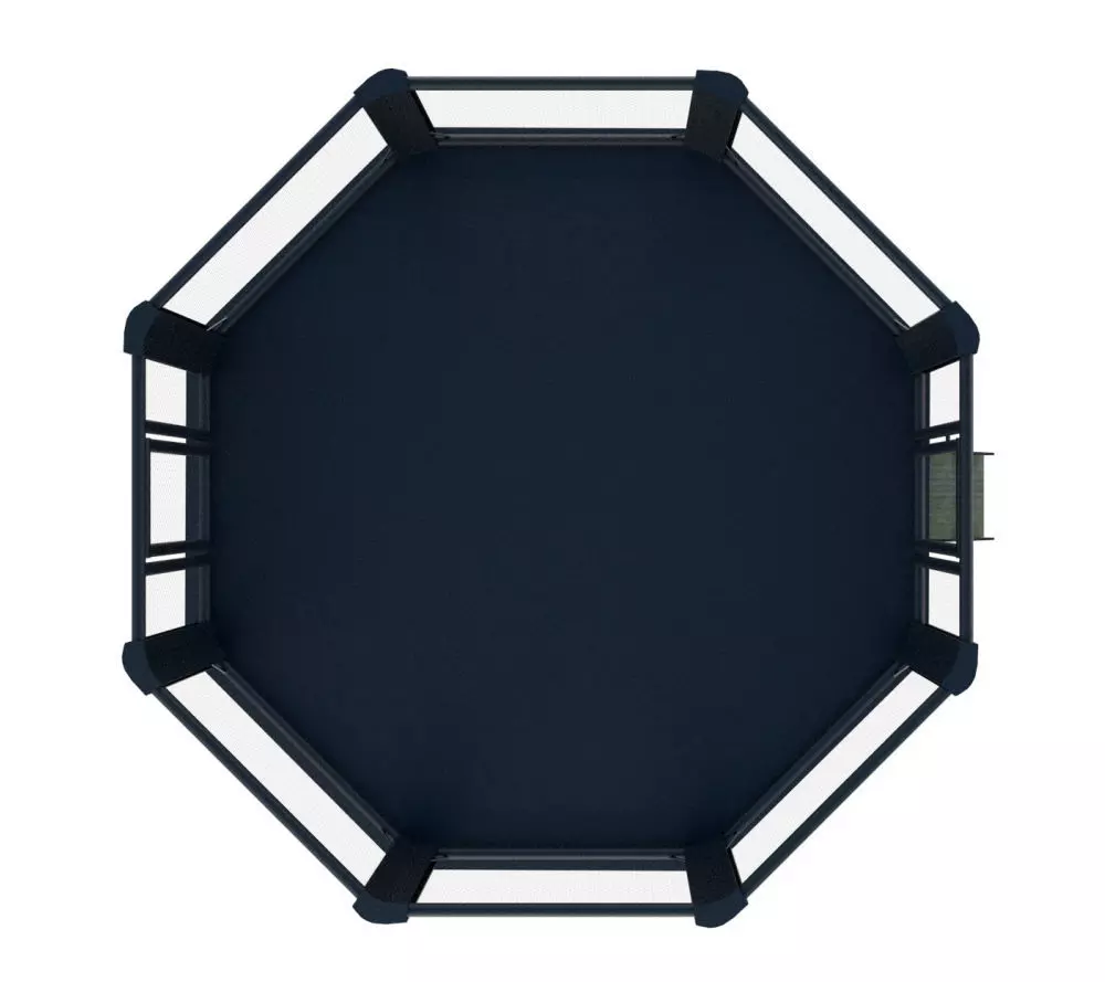 cage_mma_sur_podium