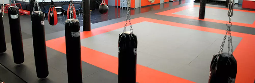 tatami-mma