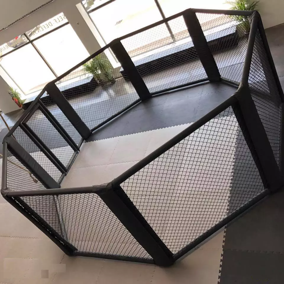 cage-de-mma-entrainement