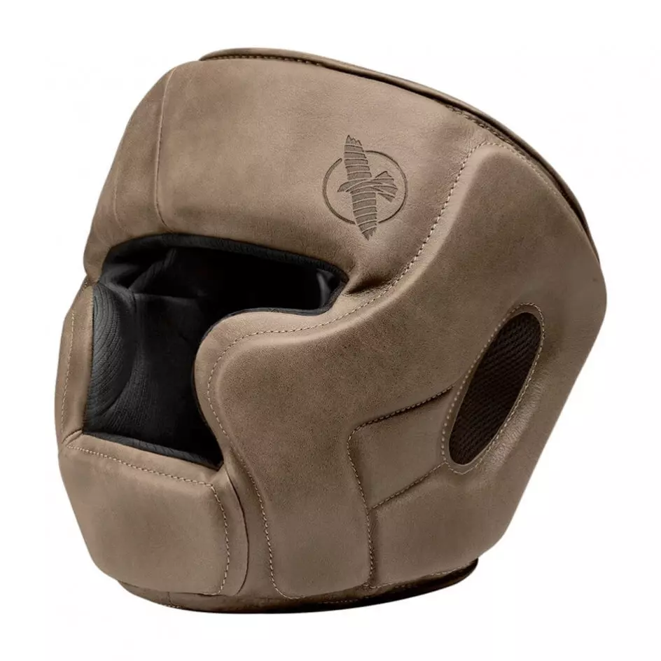 Hayabusa Kanpeki headguard