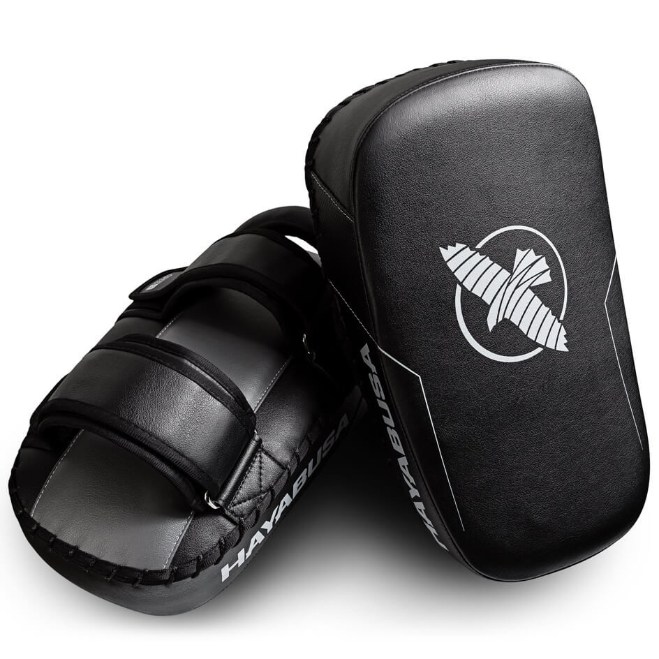 pao-hayabusa
