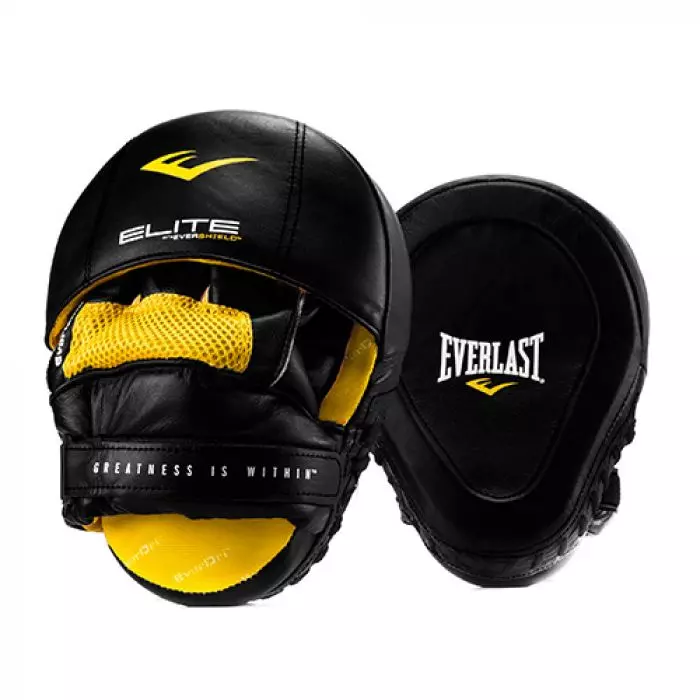 Everlast Elite focus mitts