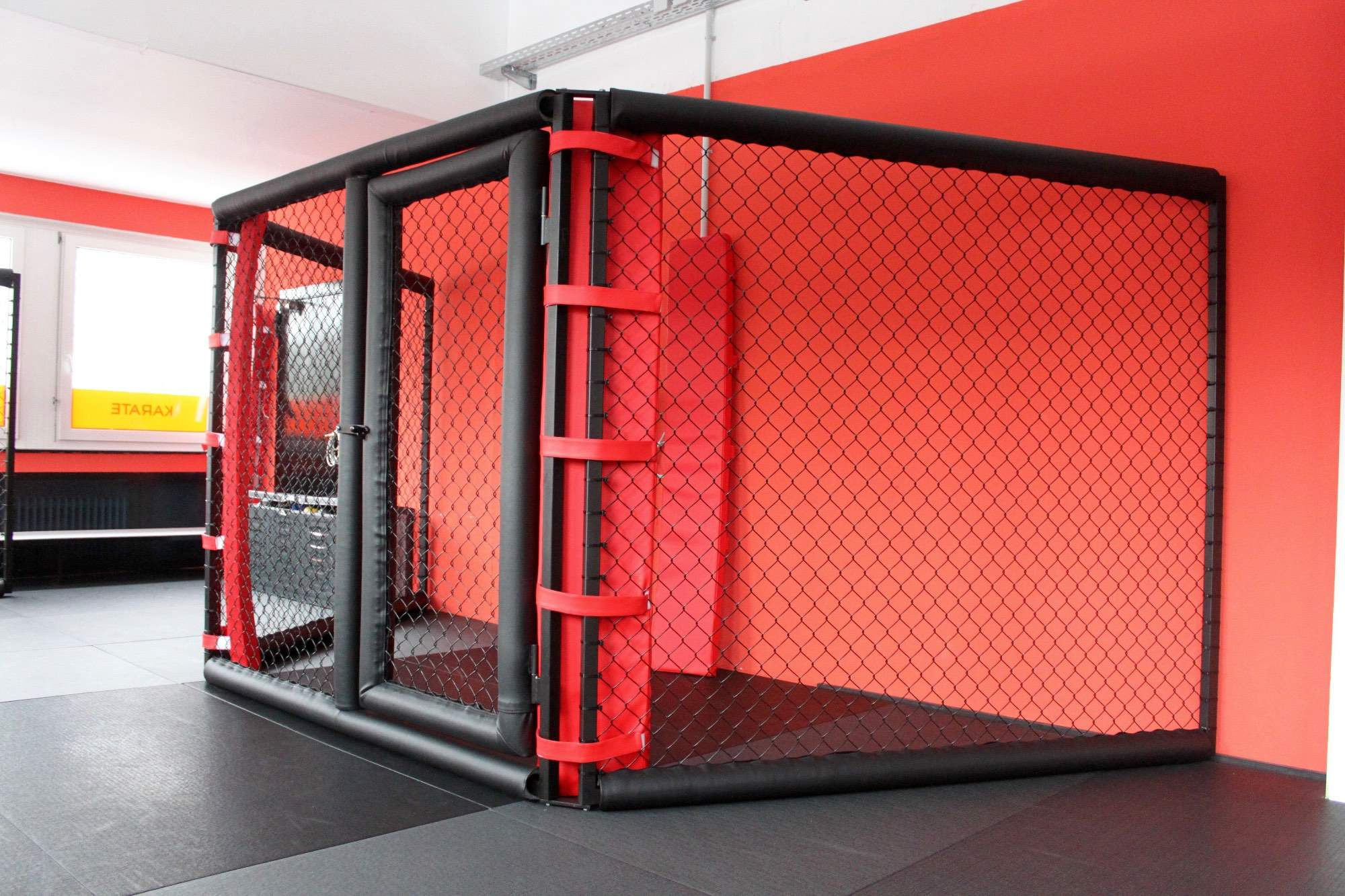 demi-cage-mma
