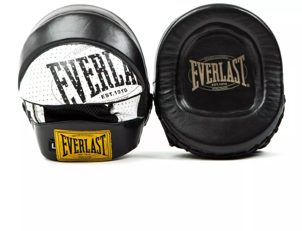 Everlast 1910 punch mitts