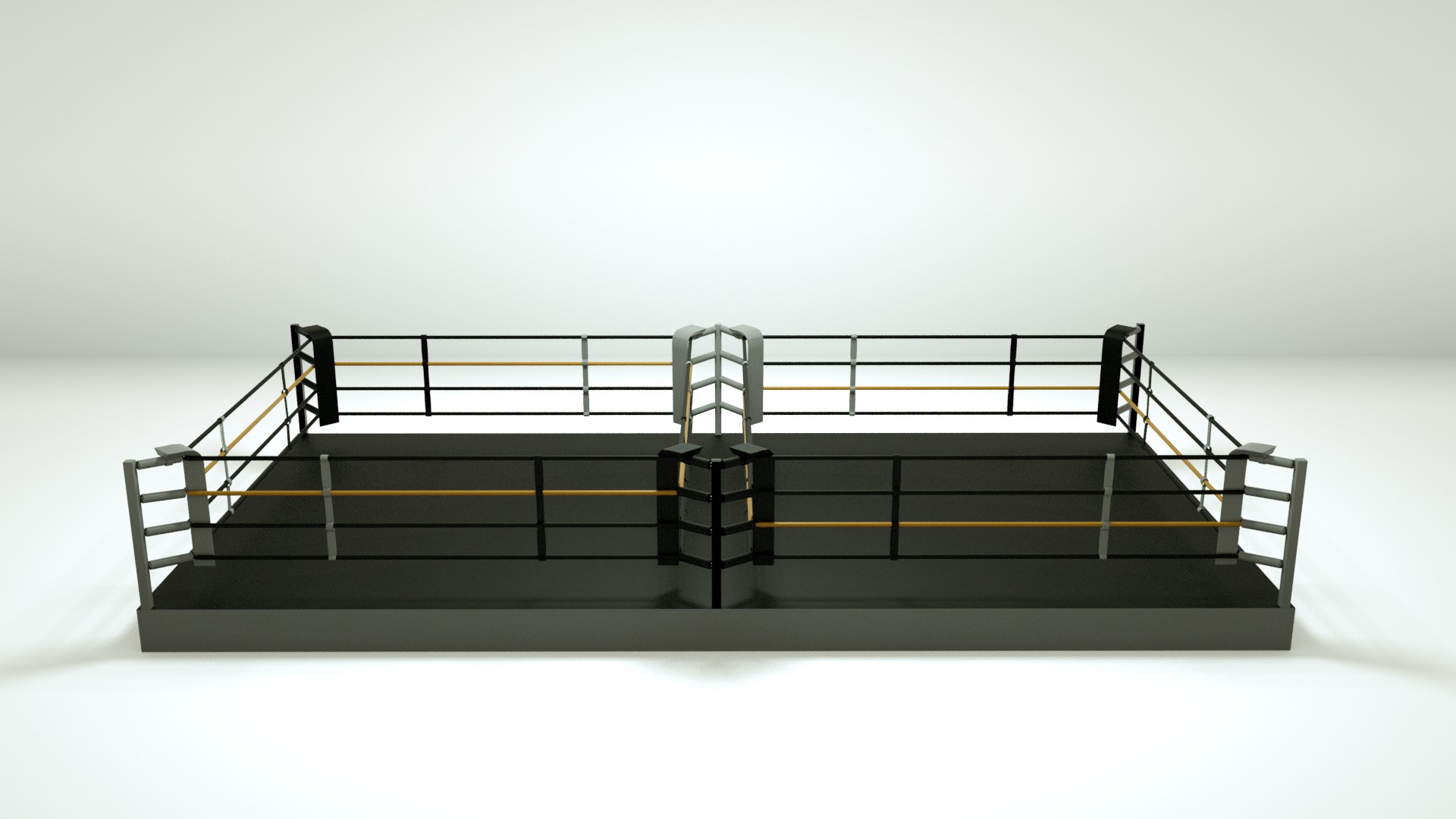 ring-de-boxe-double