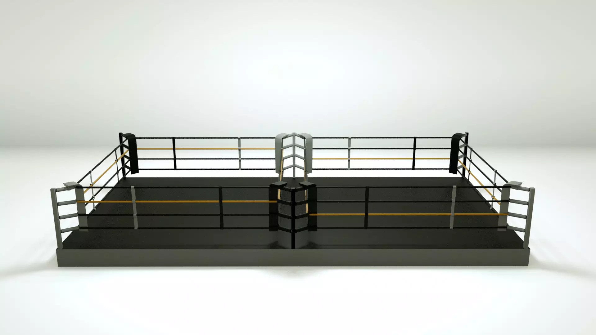 ring-de-boxe-double