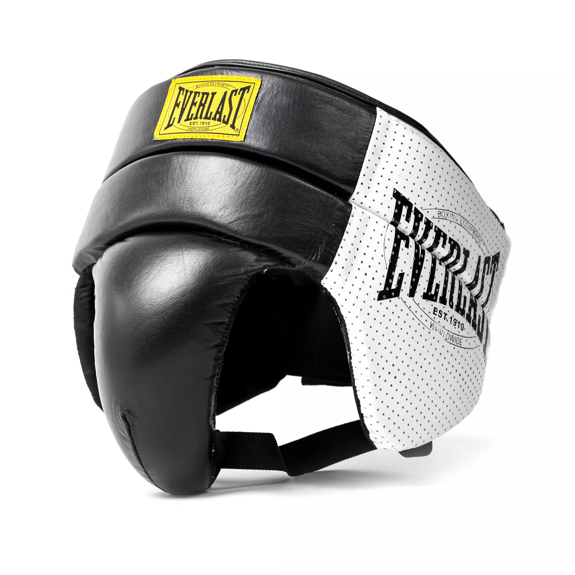 Everlast 1910 pro groin guard