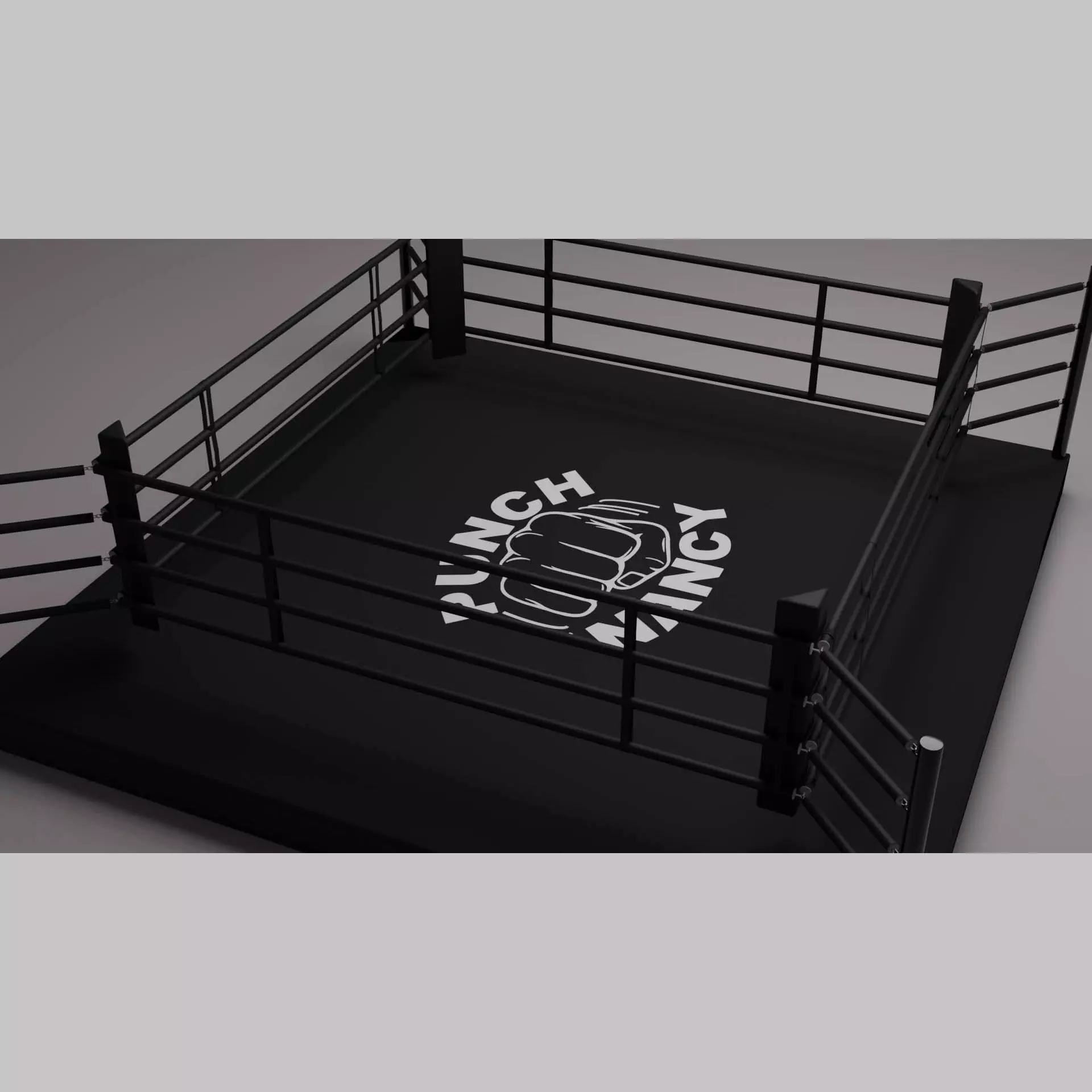 Canvas for boxing ring