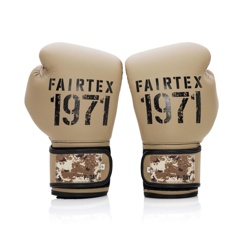 gant-de-boxe-fairtex-f-day