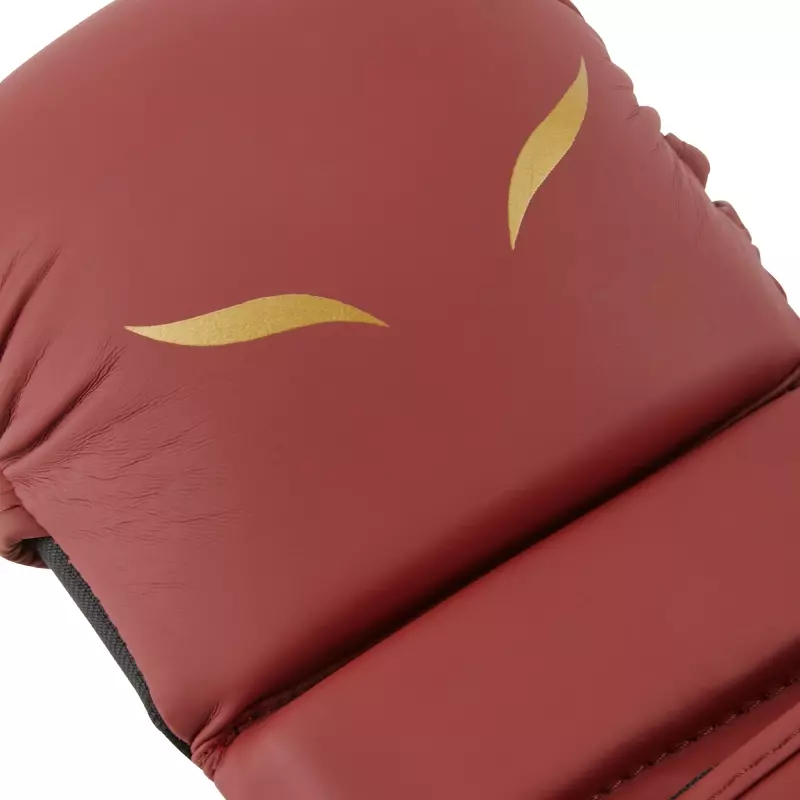 gants-de-sparring-mma-elion-bordeaux-5