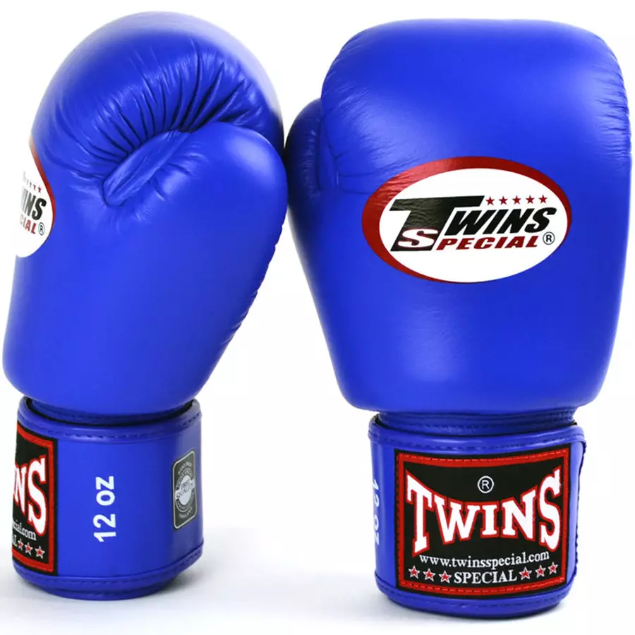 Boxing gloves Twins Blue