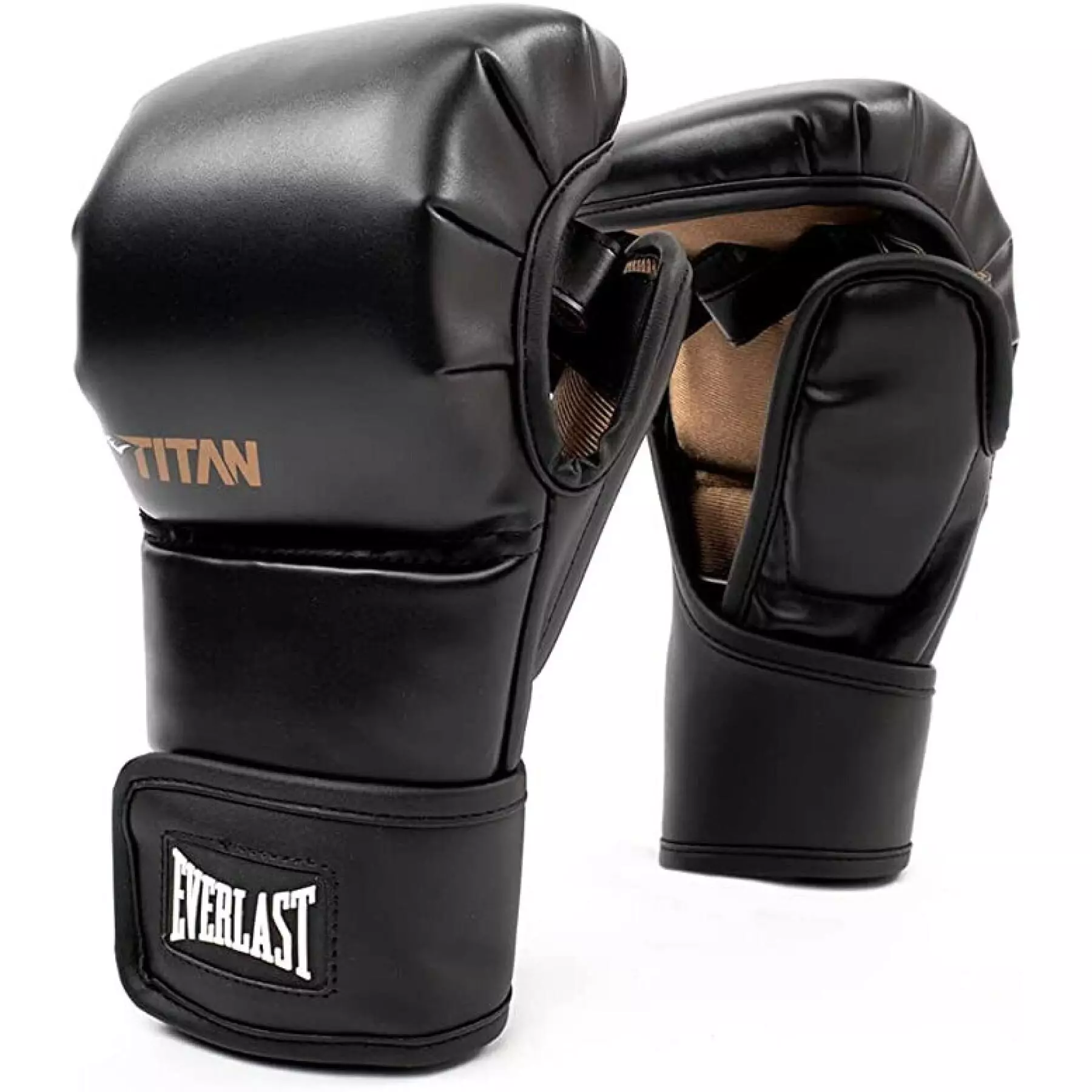 Everlast Titan MMA gloves