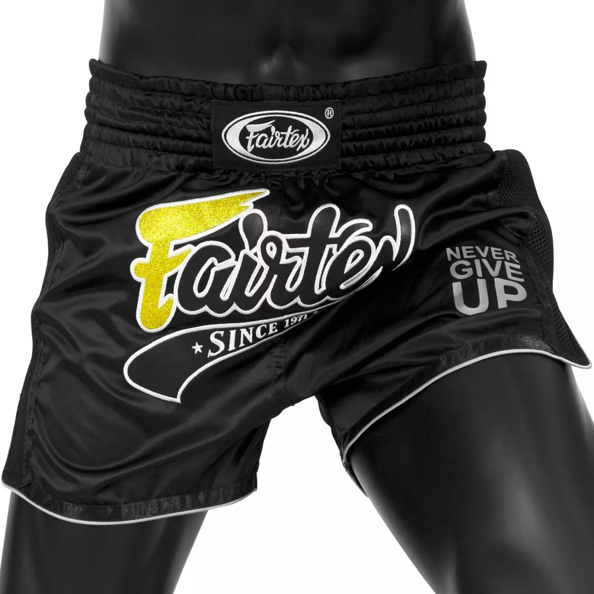 Fairtex BS24 Thai boxing shorts