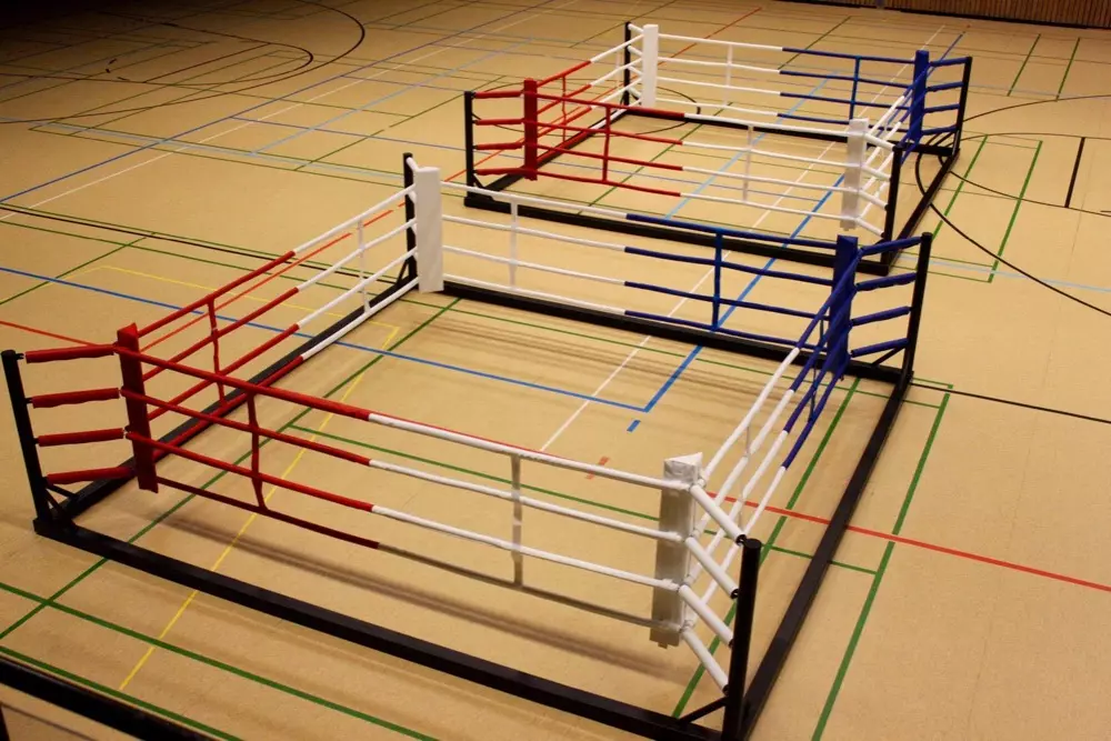 ring-de-boxe-entrainement-1