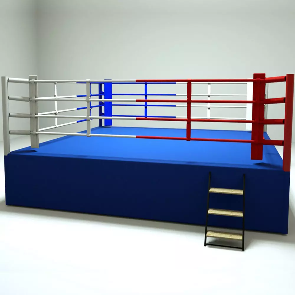 Boxing ring competition