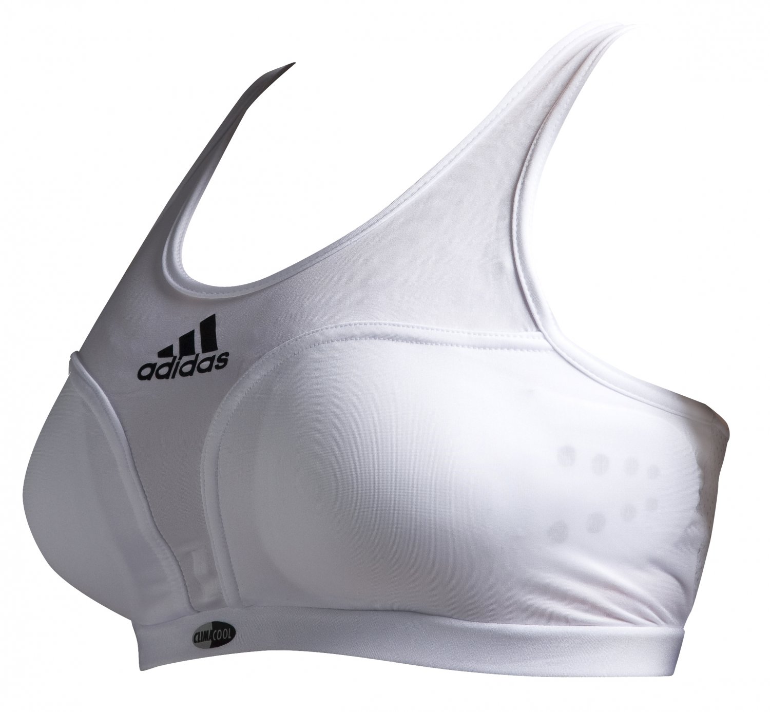 adibp12