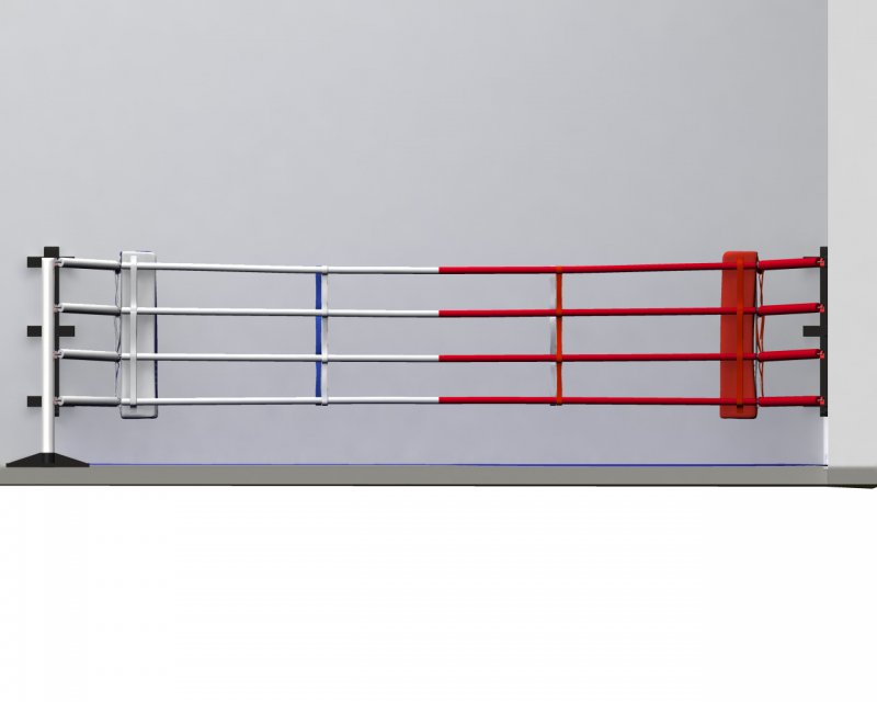 ring_boxe