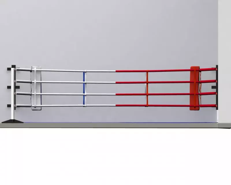 ring_boxe