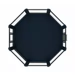 cage_mma_sur_podium