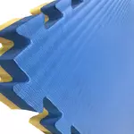 bleu jaune 2