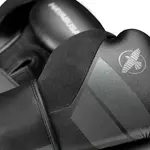 gants-de-boxe-hayabusa-s4-noir