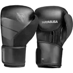 gant-de-boxe-hayabusa-s4-noir