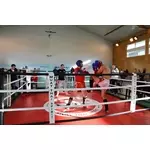 personalisation-ring-de-boxe