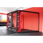 demi-cage-mma