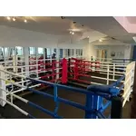 ring-de-boxe-demontable-1