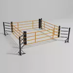 ring-de-boxe-entrainement-