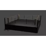 ring-de-boxe-vintage