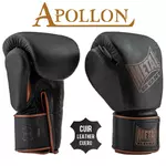 gant-de-boxe-metal-boxe-en-cuir-apollon