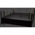 ring-de-boxe-vintage