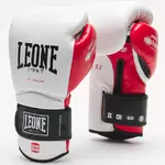 gants-de-boxe-leone-technico