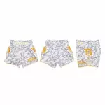 short-de-boxe-thai-fairtex-booster-2