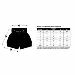 short-de-boxe-thai-fairtex-booster-4