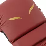 gants-de-sparring-mma-elion-bordeaux-5